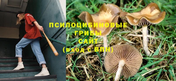apvp Абдулино