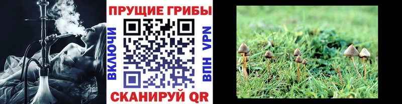 Галлюциногенные грибы GOLDEN TEACHER  даркнет формула  Абаза 
